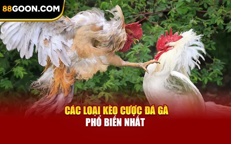 Các loại kèo cược đá gà phổ biến nhất